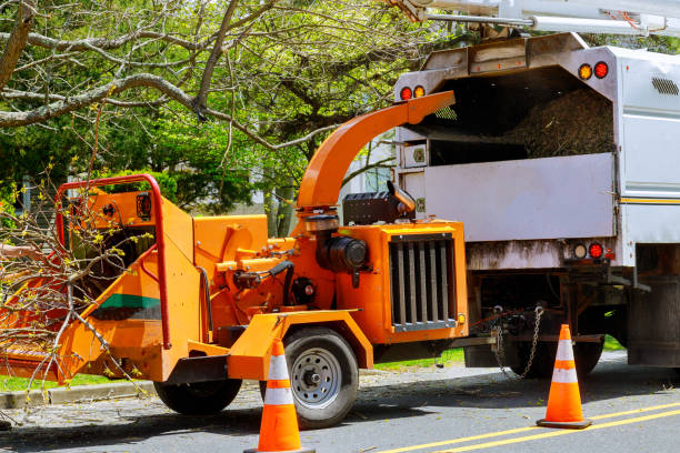 Best Aeration Services  in Esparto, CA